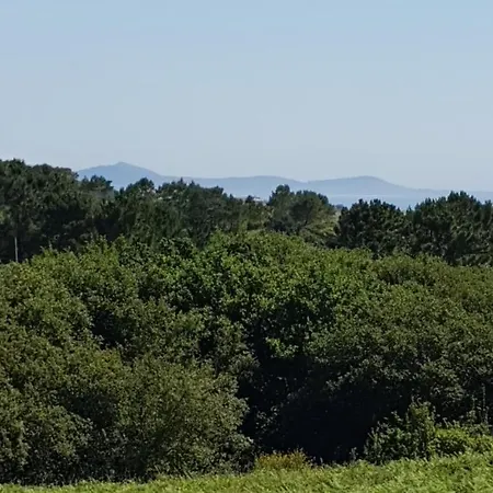 Apartament Emilia Primero *